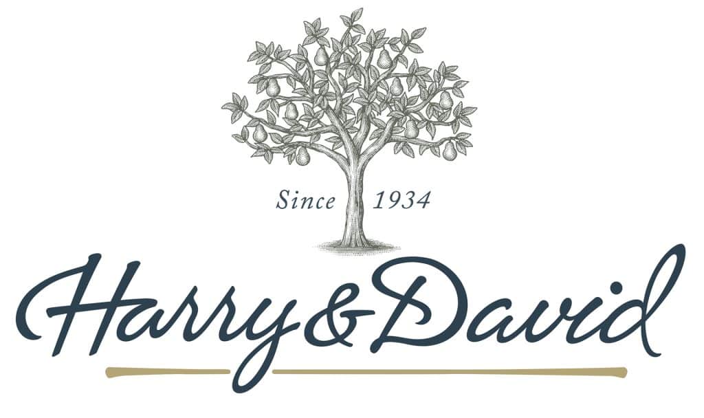 HarryDavidLogo